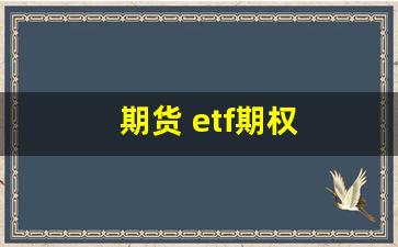 期货 etf期权(etf期权交易平台)_https://www.hangfeite.com_深交所_第1张